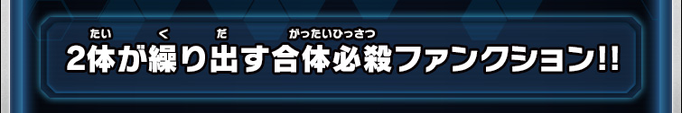 2体が繰り出す合体必殺ファンクション!!