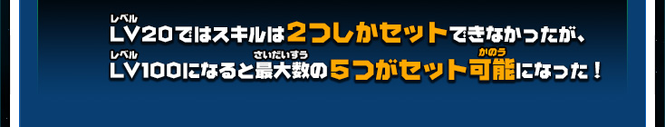 LV20ではスキルは２つしかセットできなかったが、LV100になると最大数の５つがセット可能になった！