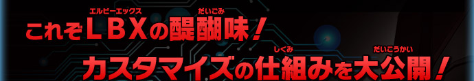 これぞＬＢＸの醍醐味！カスタマイズの仕組みを大公開！